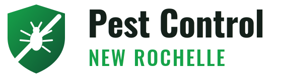 New Rochelle Pest Control